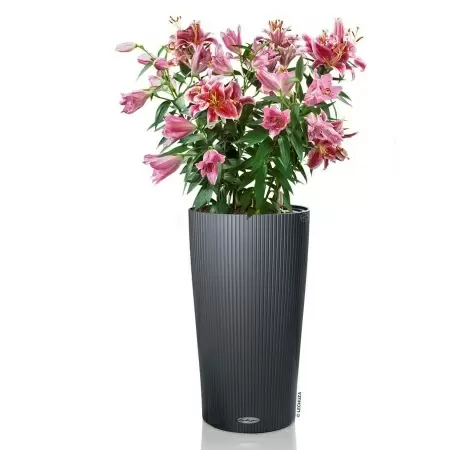 Кашпо Lechuza Cilindro Color
