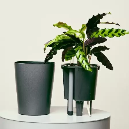 Кашпо Lechuza Deltini & MINI-Deltini