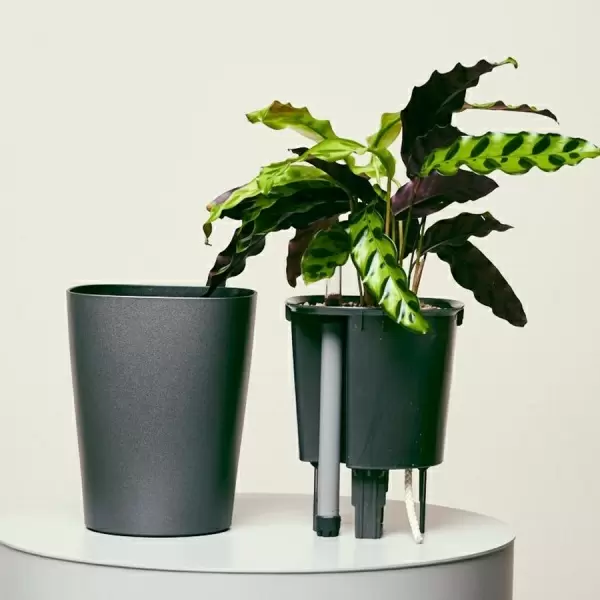 Кашпо Lechuza Deltini & MINI-Deltini