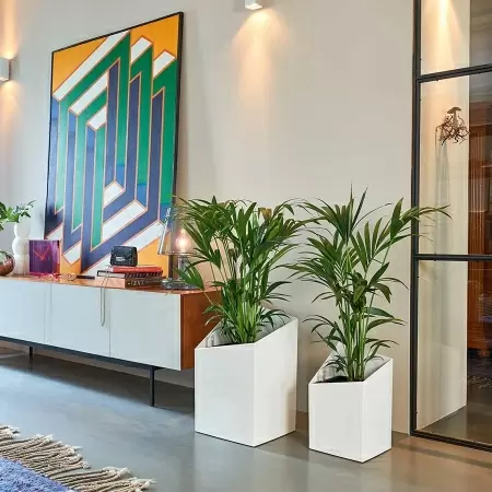 Кашпо Lechuza Cursivo