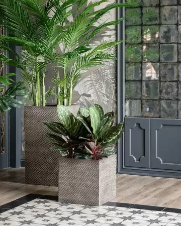 Прямоугольный горшок Wood Cube Прямоугольный горшок Wood Cube фото