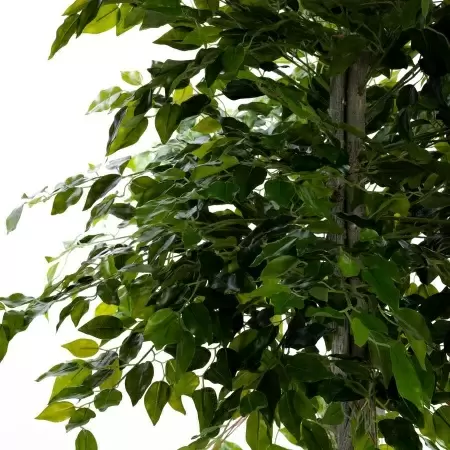 Фикус искусственный