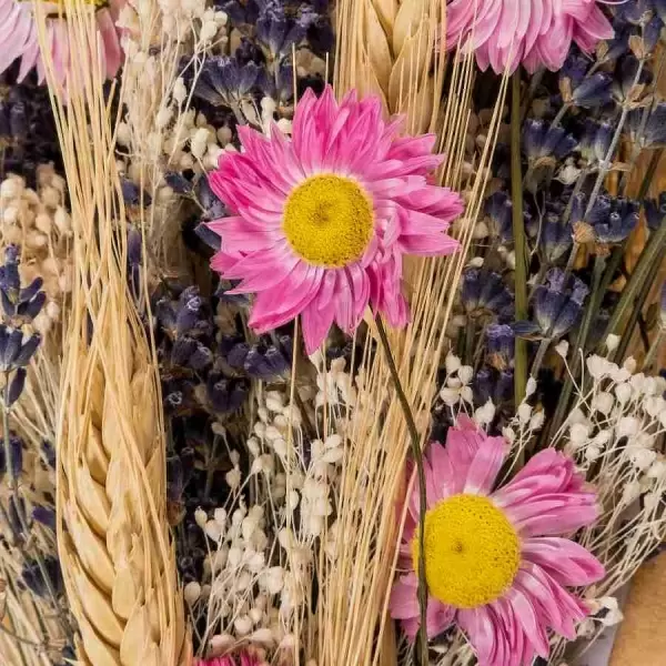 Стабилизированный букет Лаванда с розовой пшеницей и акролинумом