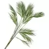 Лист пальмы искусственный