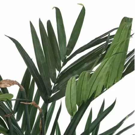 Пальма Кентия искусственная