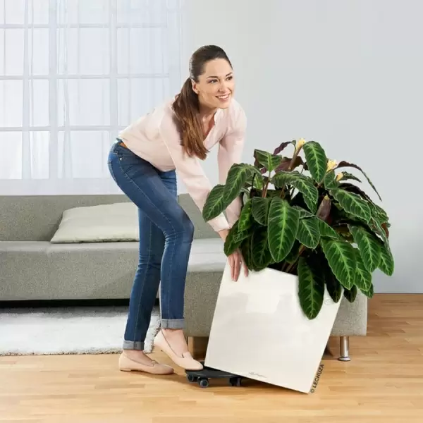 Кашпо Lechuza Cube