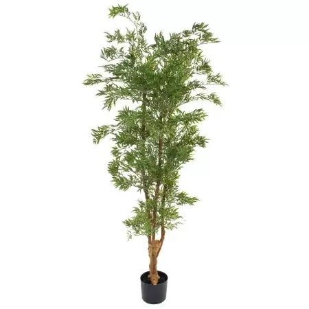 Дерево искусственное Полисциас