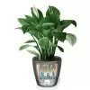 фото Кашпо Lechuza Classico LS  Lechuza Classico LS