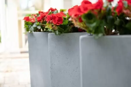 Цветочный горшок Square Natural Smooth rect