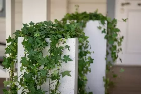 Цветочный горшок Pote-white Column