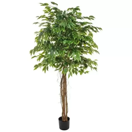 Фикус искусственный