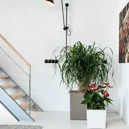 Кашпо Lechuza Cube