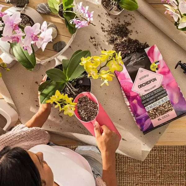 Субстрат Lechuza ORCHIDPON