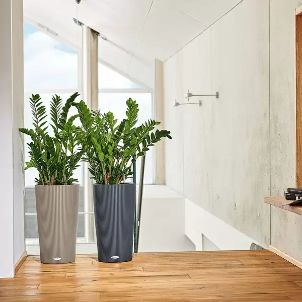 Кашпо Lechuza Cilindro Color