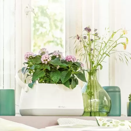 Кашпо Lechuza Yula