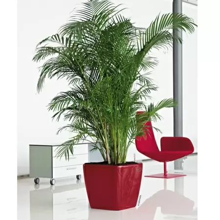 Кашпо Lechuza Quadro LS