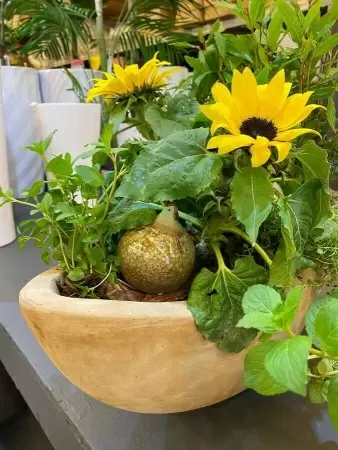 Цветочный горшок Mterra Boat