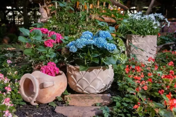 Горшок из терракоты Leaves Rownd Горшок из терракоты Leaves Rownd
