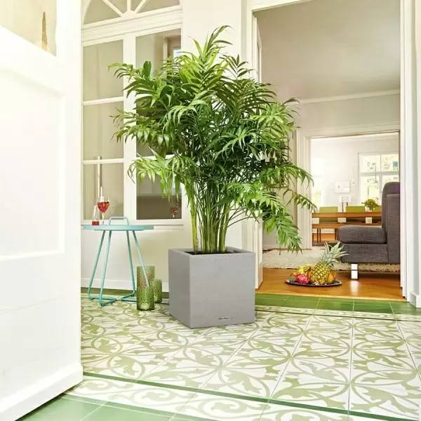 Кашпо Lechuza Canto Stone low