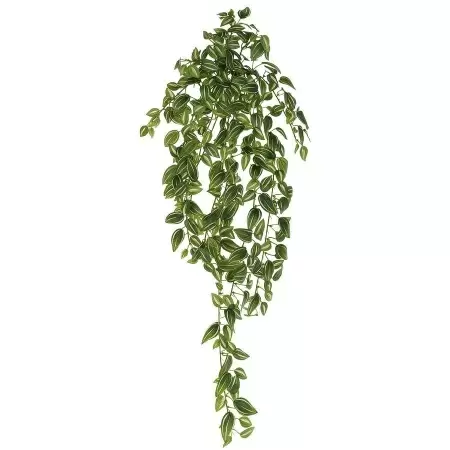 Традесканция искусственная