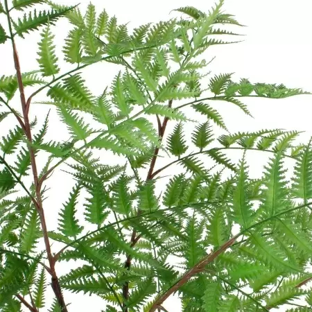 Папоротник искусственный