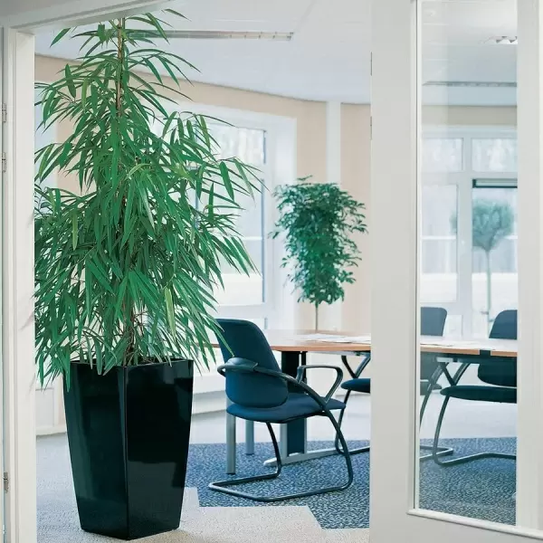 Кашпо Lechuza Cubico Premium