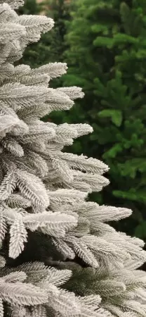 Ель искусственная заснеженная Королева Тянь-Шаня Ель искусственная заснеженная Королева Тянь-Шаня