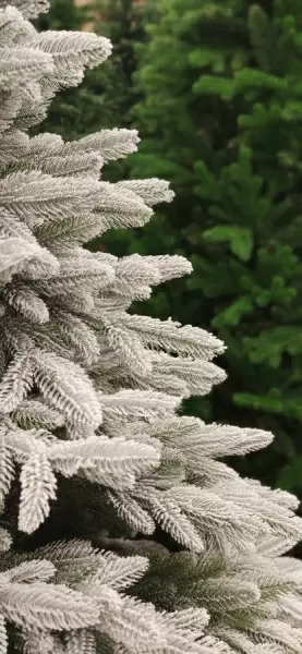 Ель искусственная заснеженная Королева Тянь-Шаня