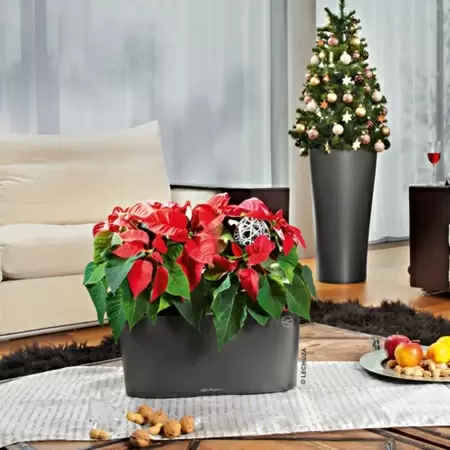 Кашпо Lechuza Delta 20