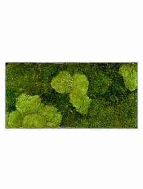 Панно из стабилизированного мха Moss painting Stiel L