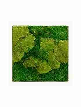 Панно из стабилизированного мха Moss painting Stiel RAL