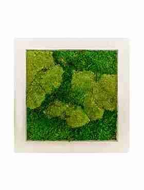 Панно из стабилизированного мха Moss painting Natural 