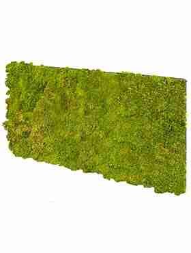 Панель из стабилизированного мха, фисташковый