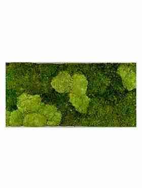 Панно из стабилизированного мха Moss painting Superline L