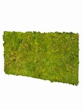 Панель из стабилизированного мха, фисташковый
