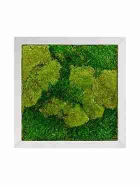Панно из стабилизированного мха Moss painting Superline