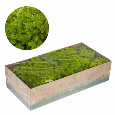 Ягель стабилизированный светло-зеленый