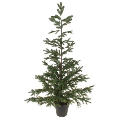 НоменклатураПрисоединенныеФайлы