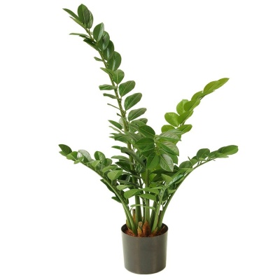 Замиокулькас искусственный