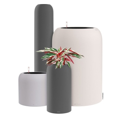 Вазон Lechuza Havalo