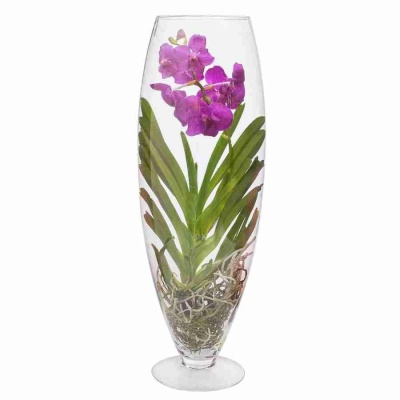 Ванда микс в стекле