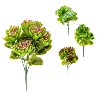 Брассика искусственная