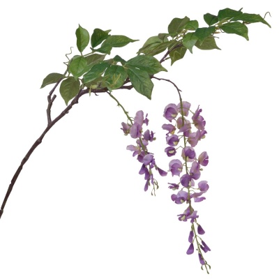 Глициния искусственная