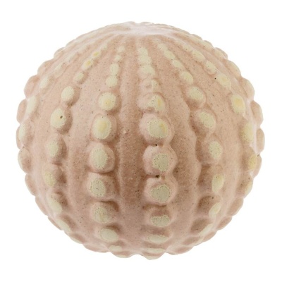 Ваза Кактус Переск