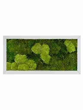 Панно из стабилизированного мха Moss painting Superline