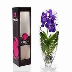 Ванда ассорти (в стеклянной вазе и коробке)