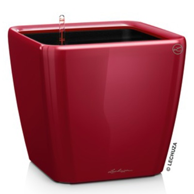 Кашпо Lechuza Quadro LS