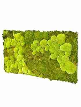 Панель из стабилизированного мха, комбинированный