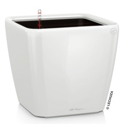 Кашпо Lechuza Quadro LS