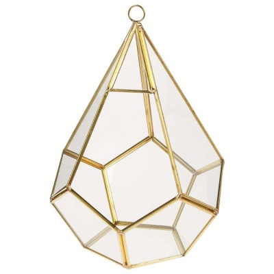 Флорариум стеклянный Гамильтон